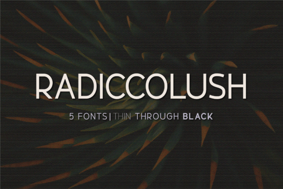 Radiccolush: The Sans Serif Font for Bold Branding
